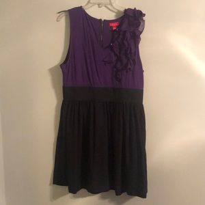 Purple and Black Dress